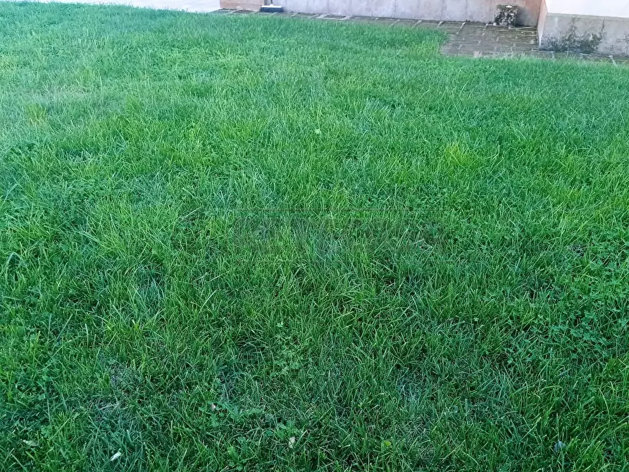 Immagine 3 di Villa in vendita  a Castelvetrano