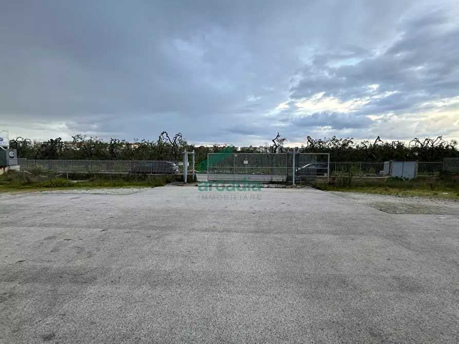 Immagine 10 di Attività artigianale in affitto  in Via Modugno 97 a Bitonto