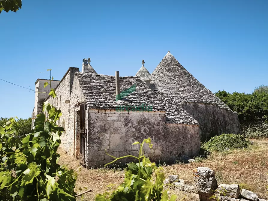 Immagine 13 di Rustico / casale in vendita  in Contrada Terranova a Monopoli