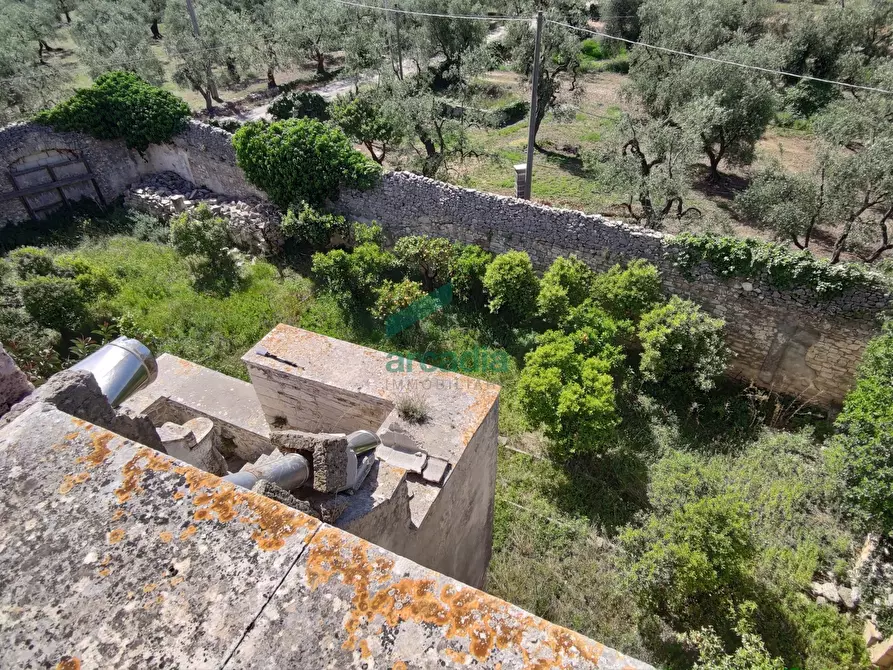 Immagine 4 di Rustico / casale in vendita  in Via Dott. Saverio Daconto Storico 12 a Giovinazzo