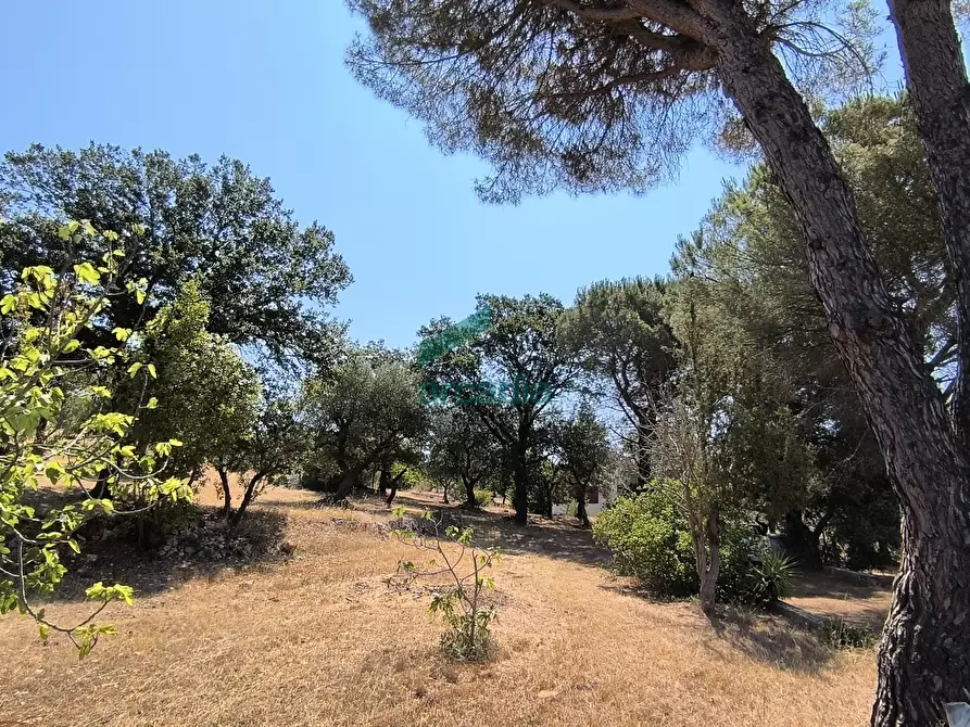 Immagine 1 di Villa in vendita  in Ctr. Ciminiera 62 a Monopoli