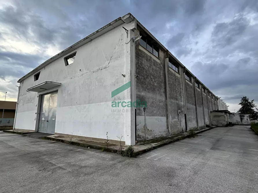 Immagine 11 di Attività artigianale in affitto  in Via Modugno 97 a Bitonto