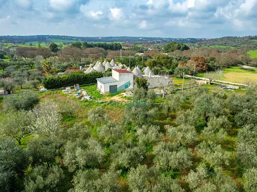 Immagine 2 di Rustico / casale in vendita  in Contrada Terranova a Monopoli
