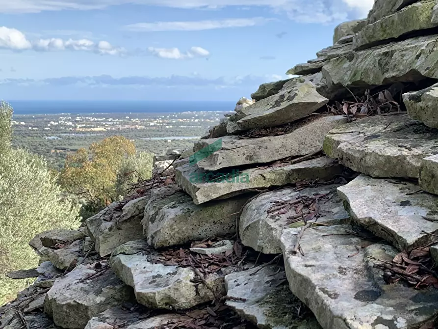 Immagine 2 di Rustico / casale in vendita  in Contrada Torchiano a Monopoli