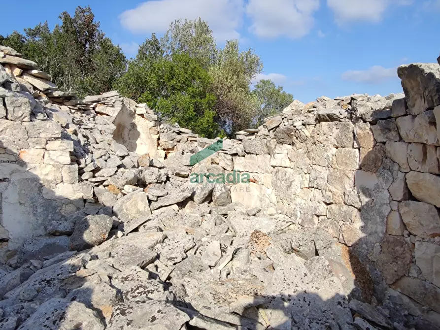 Immagine 18 di Rustico / casale in vendita  in Contrada Torchiano a Monopoli