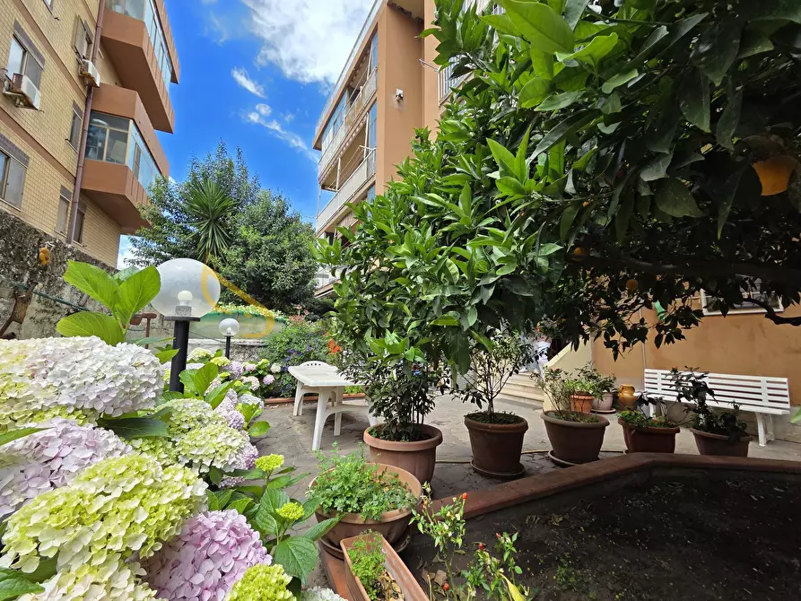 Immagine 1 di Quadrilocale in affitto  a Catanzaro