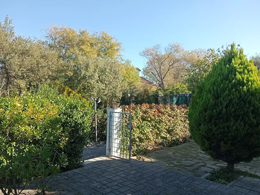 Immagine 18 di Quadrilocale in affitto  a Montemarciano