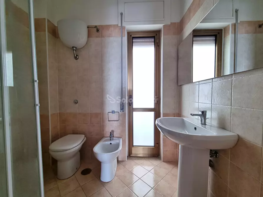 Immagine 5 di Monolocale in affitto  a Catanzaro