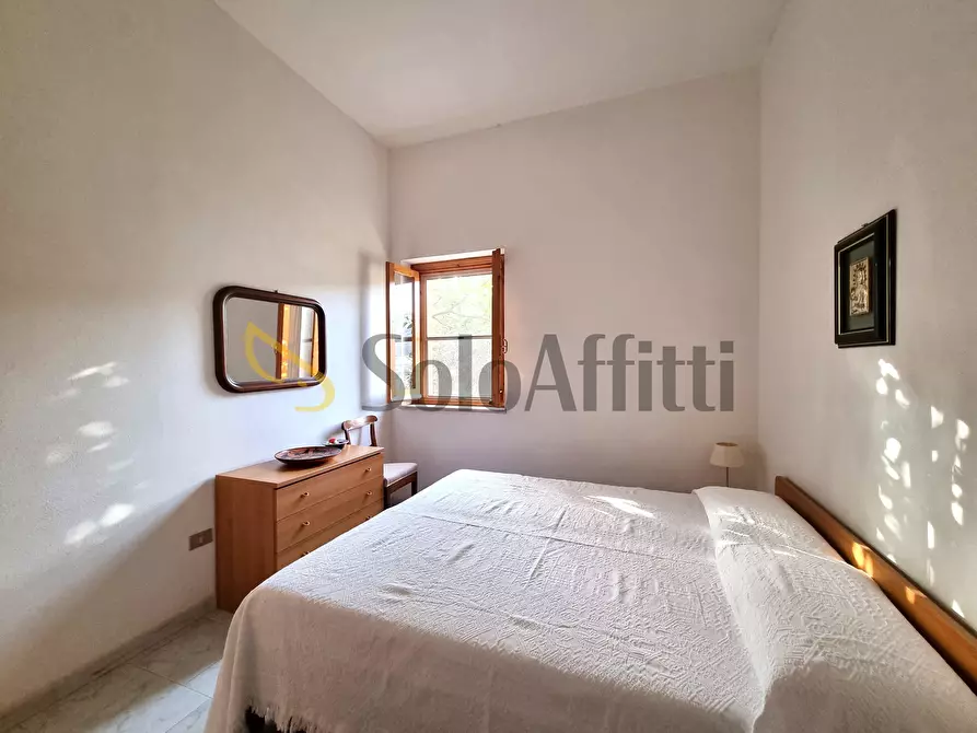 Immagine 6 di Trilocale in affitto  a Montauro
