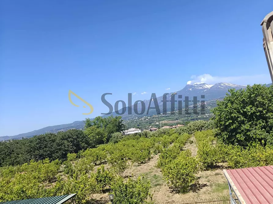 Immagine 2 di Trilocale in affitto  in Via Spiaggia 347 a Mascali