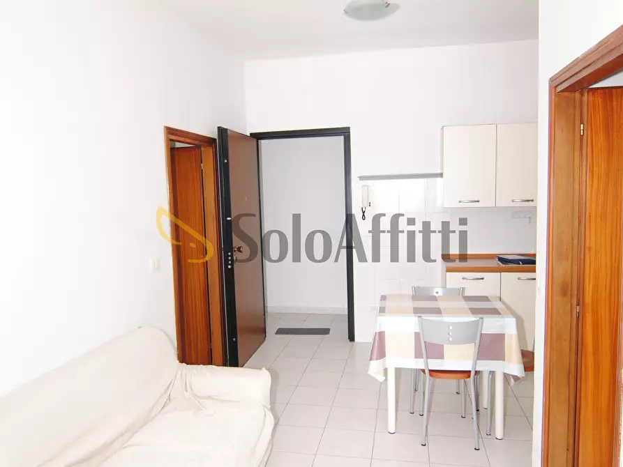 Immagine 4 di Bilocale in affitto  a Collesalvetti