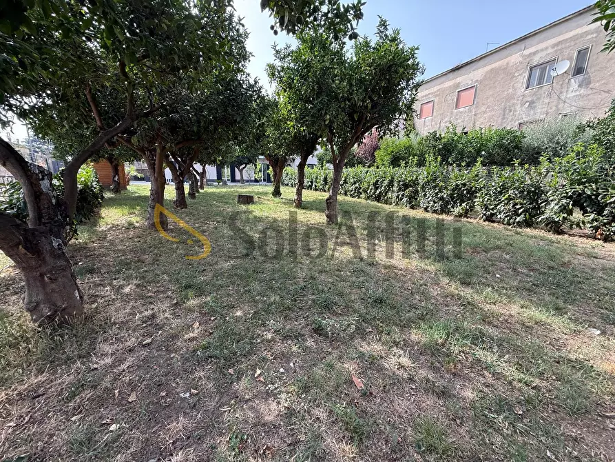 Immagine 29 di Villa in affitto  in Via Ten. Politano 4 a Caserta