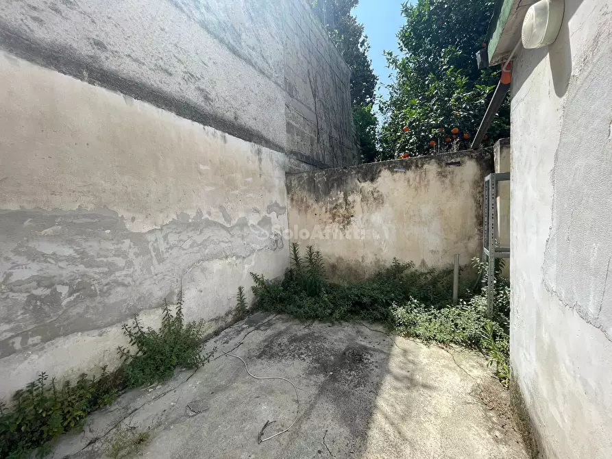 Immagine 11 di Magazzino in affitto  in Corso Trieste 82 a Caserta