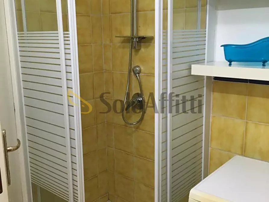 Immagine 10 di Monolocale in affitto  a Frosinone