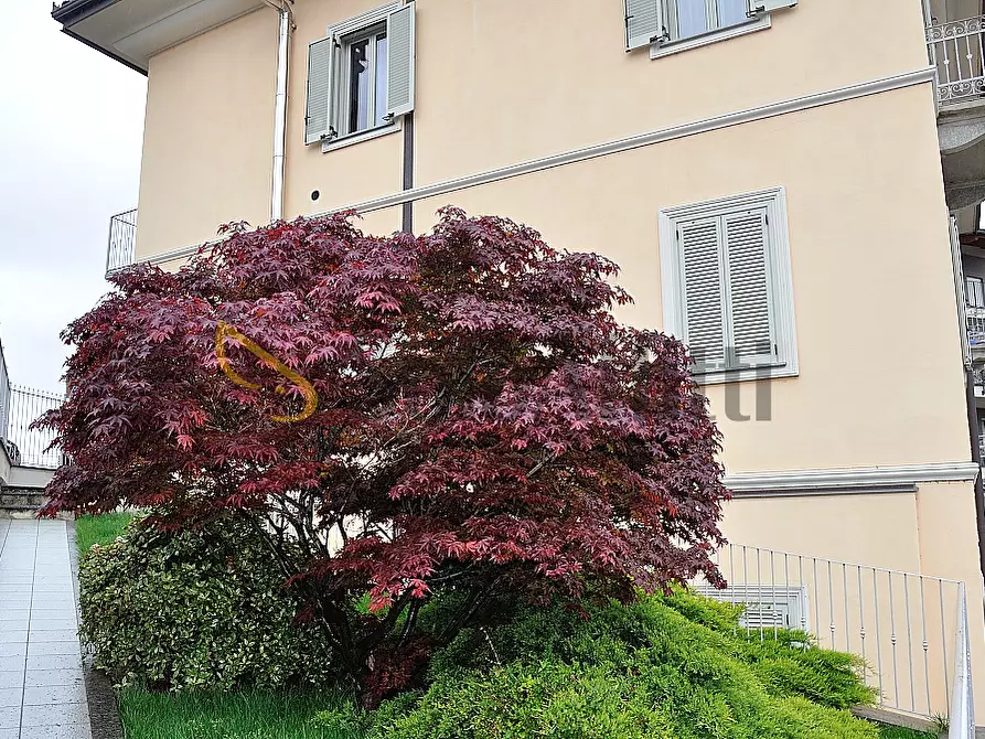 Immagine 21 di Trilocale in affitto  in Via San Mauro 12 a Settimo Torinese