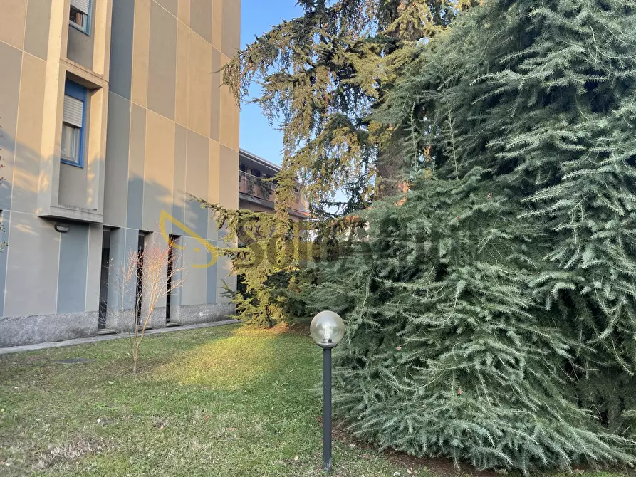 Immagine 36 di Bilocale in affitto  in Viale Giuseppe Borri 57 a Busto Arsizio