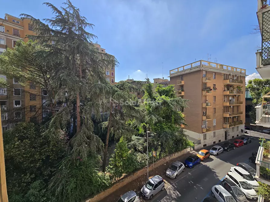 Immagine 19 di Bilocale in affitto  in Via Leone IX 14 a Roma