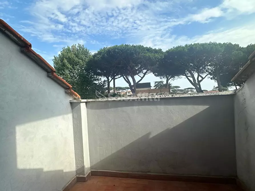 Immagine 13 di Bilocale in affitto  in Via dei Tigli a Anzio