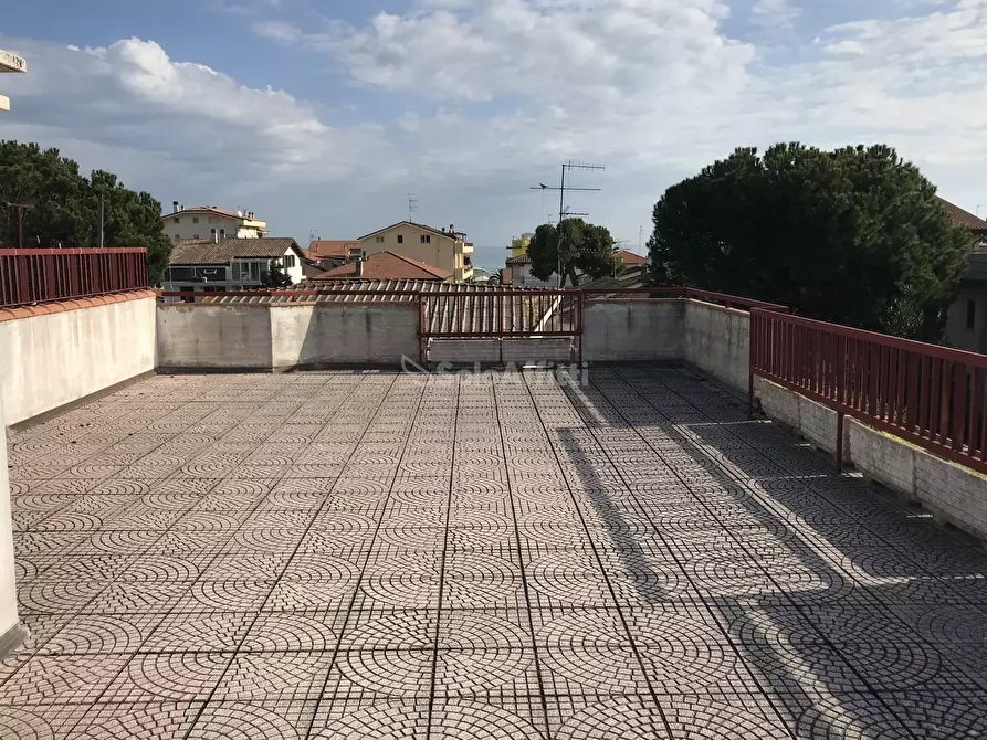 Immagine 15 di Trilocale in affitto  in silone 41 a Tortoreto