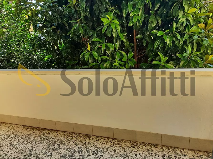 Immagine 6 di Pentalocale in affitto  a Carpi