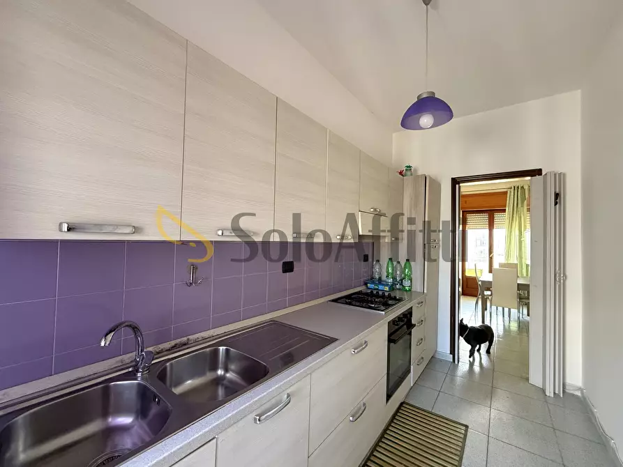 Immagine 9 di Bilocale in affitto  a Catanzaro