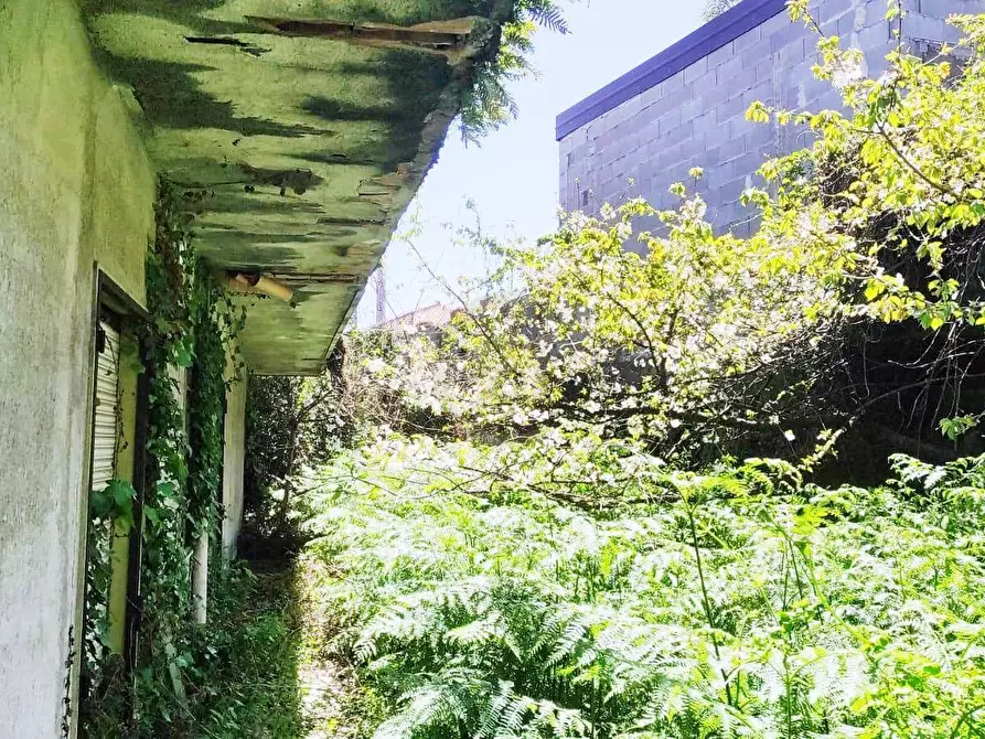 Immagine 4 di Villa in vendita  a Mascalucia