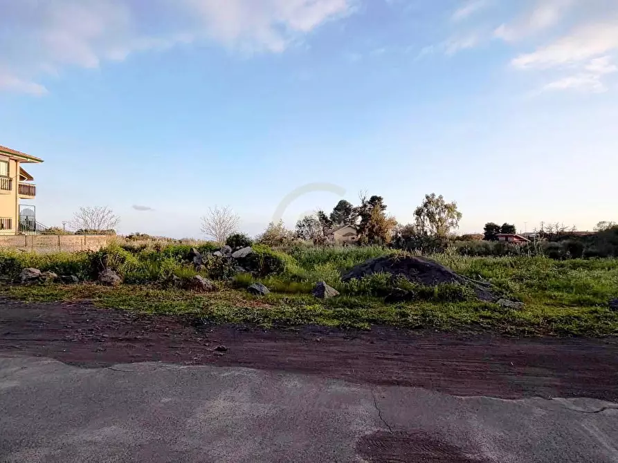 Immagine 1 di Terreno agricolo in vendita  a Mascalucia