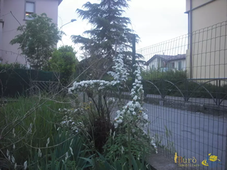 Immagine 7 di Casa indipendente in vendita  in Via Felice Cavallotti a Montecchio Emilia