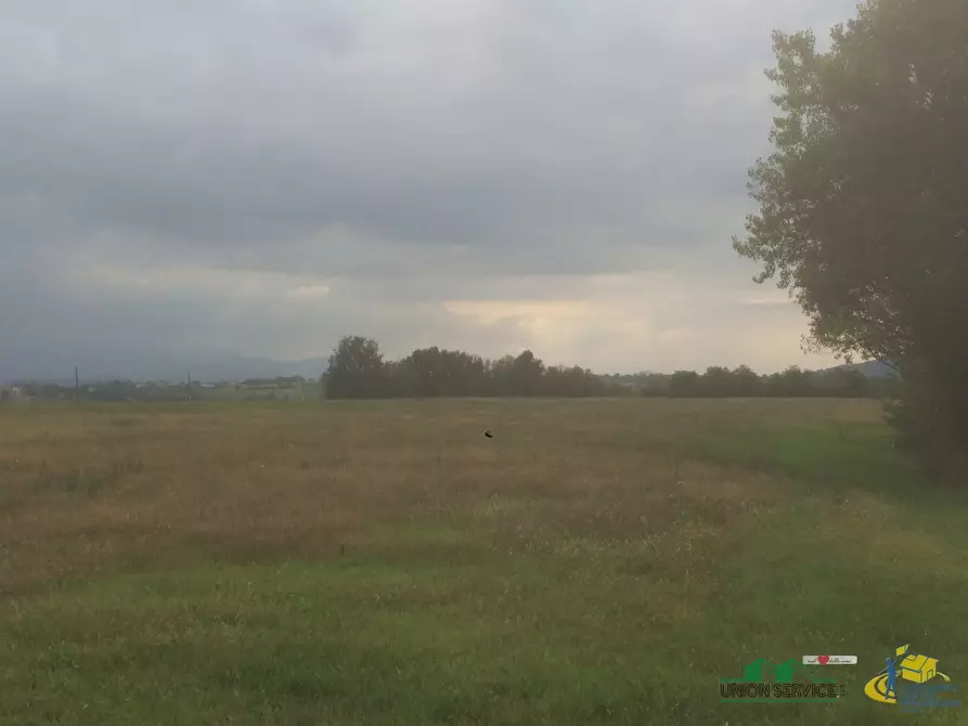 Immagine 1 di Terreno agricolo in vendita  in Noceto a Noceto