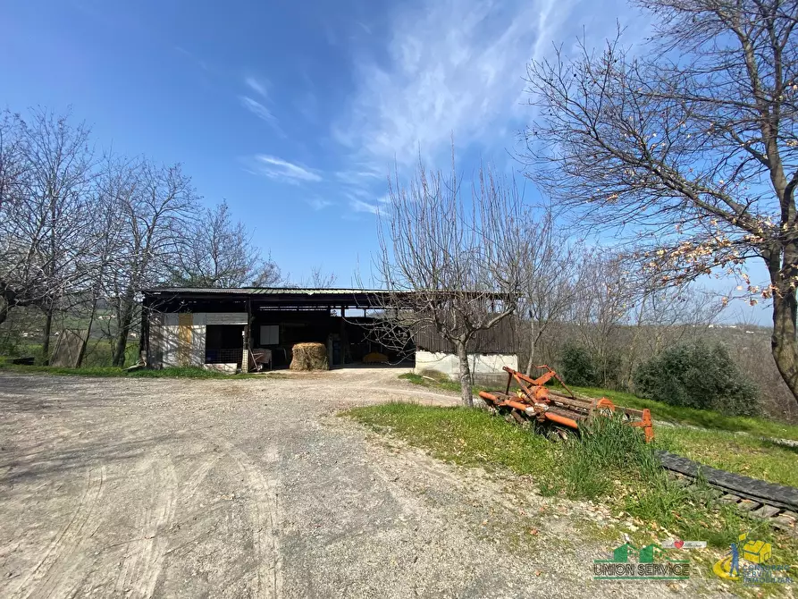 Immagine 18 di Terreno agricolo in vendita  in Miano a Medesano