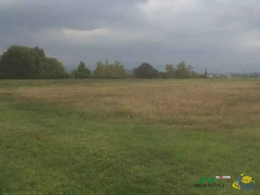 Immagine 2 di Terreno agricolo in vendita  in Noceto a Noceto