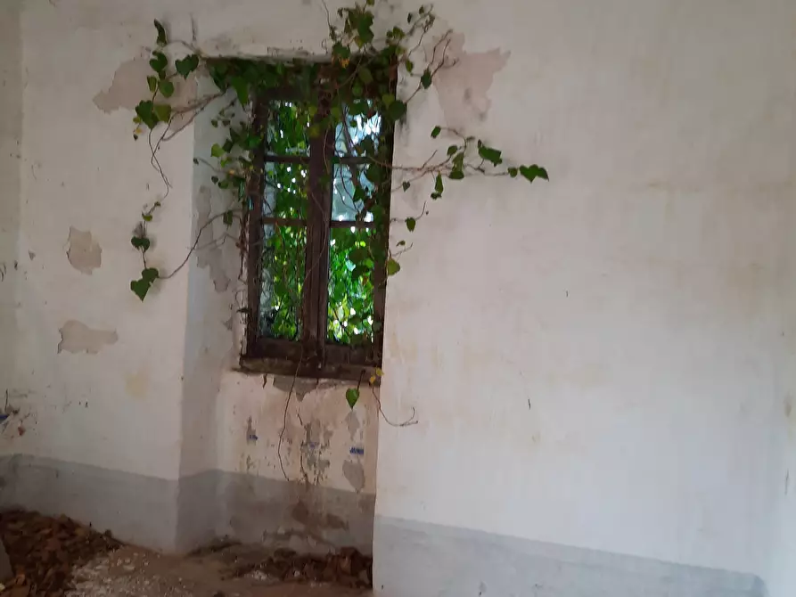 Immagine 24 di Terreno agricolo in vendita  in Località Molinelli 59 a Berceto