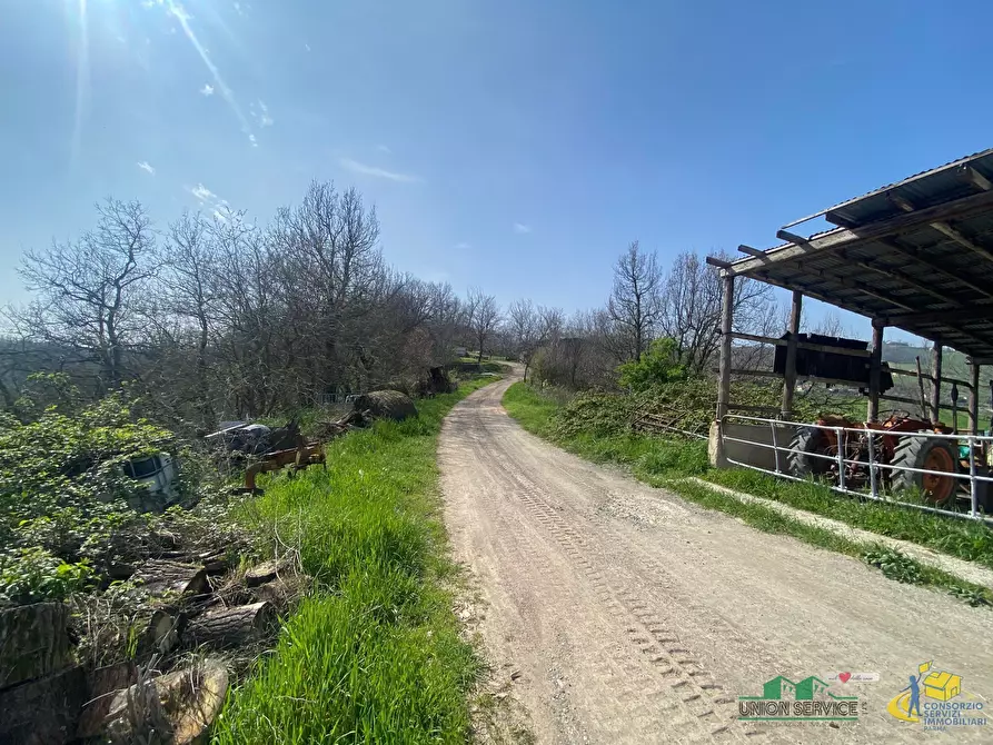 Immagine 15 di Terreno agricolo in vendita  in Miano a Medesano
