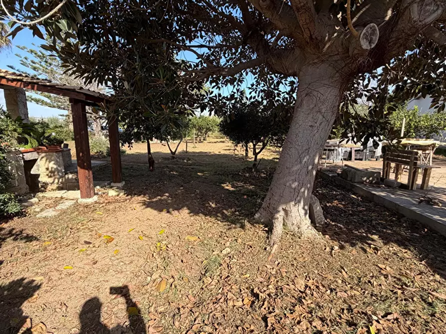 Immagine 18 di Villa in vendita  in Via del Giglio a Ispica