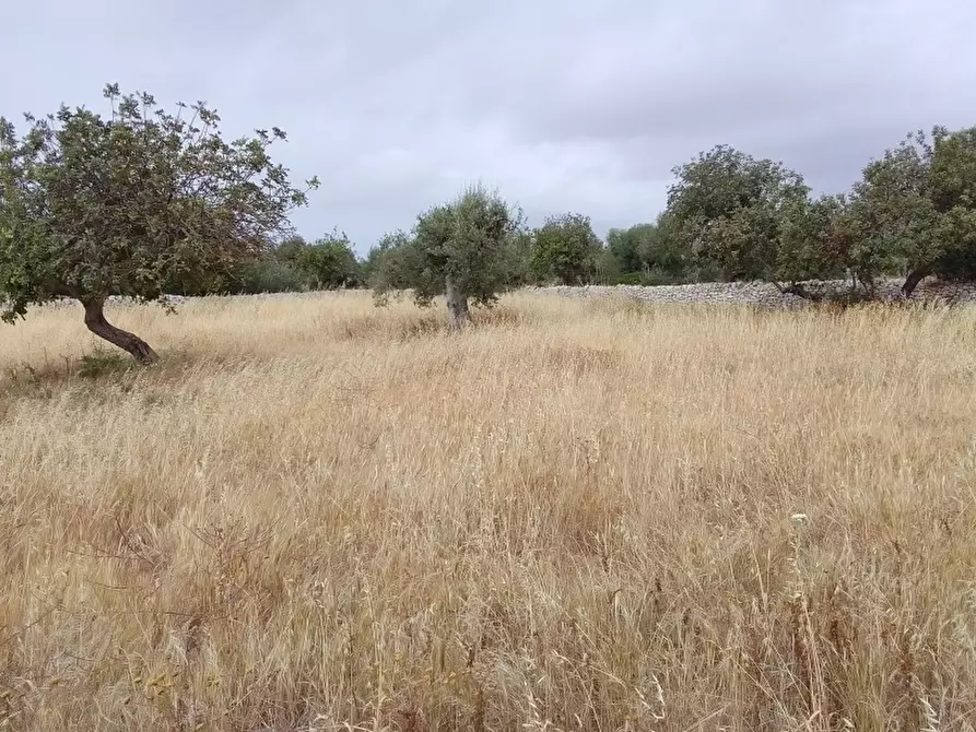 Immagine 4 di Locale commerciale in vendita  a Modica