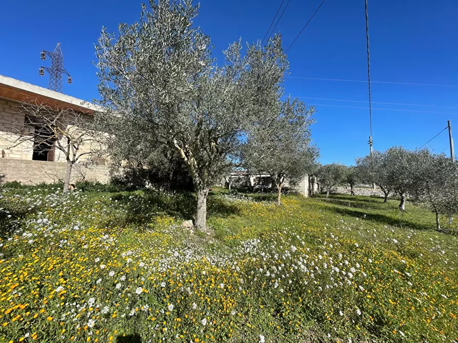 Immagine 3 di Rustico / casale in vendita  in Via Loreto Gallinara a Modica