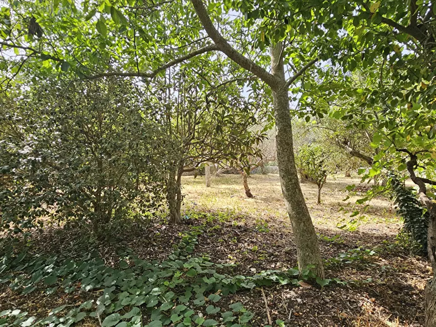 Immagine 21 di Villa in vendita  a Modica
