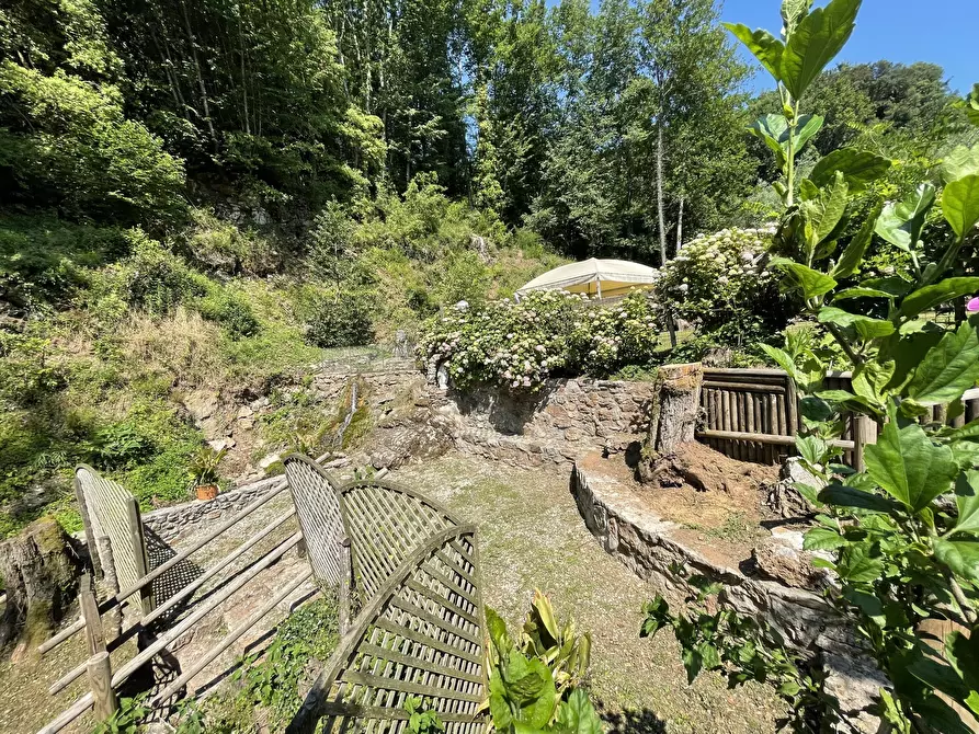 Immagine 27 di Rustico / casale in vendita  in SP1 a Pescaglia