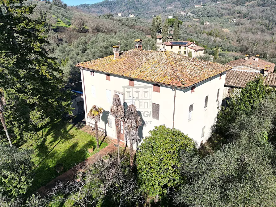 Immagine 21 di Villa in vendita  in Via del Macennere 8252/A a Lucca