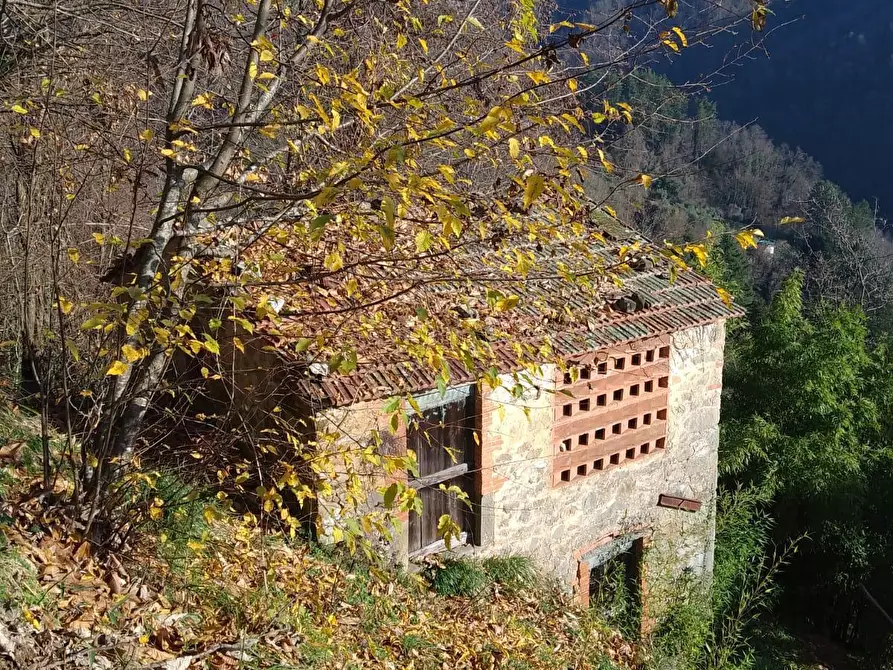 Immagine 13 di Rustico / casale in vendita  a Bagni Di Lucca