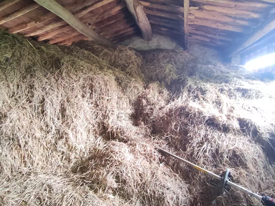 Immagine 25 di Rustico / casale in vendita  in Via Tofori a Lucca