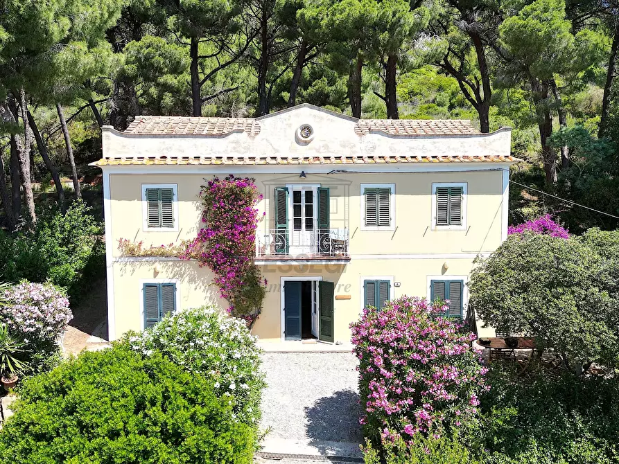 Immagine 5 di Rustico / casale in vendita  in Località Monte 4 a Porto Azzurro