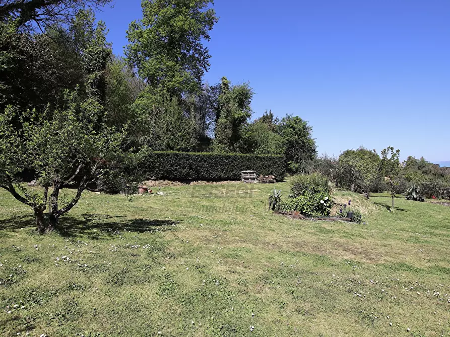 Immagine 48 di Villa in vendita  in Via Comunale Campolungo 51 a Lucca