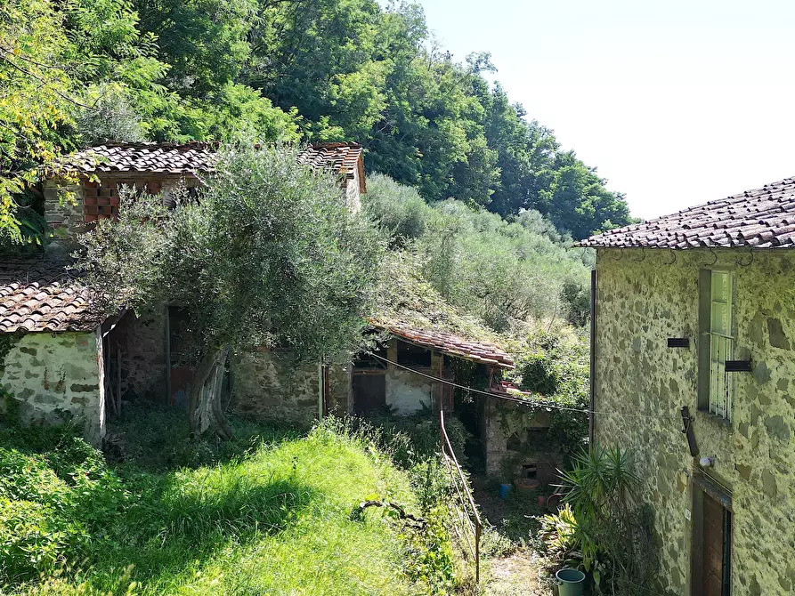 Immagine 6 di Rustico / casale in vendita  in Via Tofori a Lucca