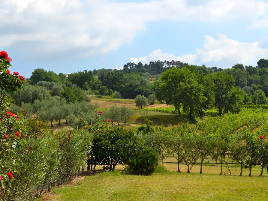 Immagine 4 di Rustico / casale in vendita  in via di san martino a Lucca