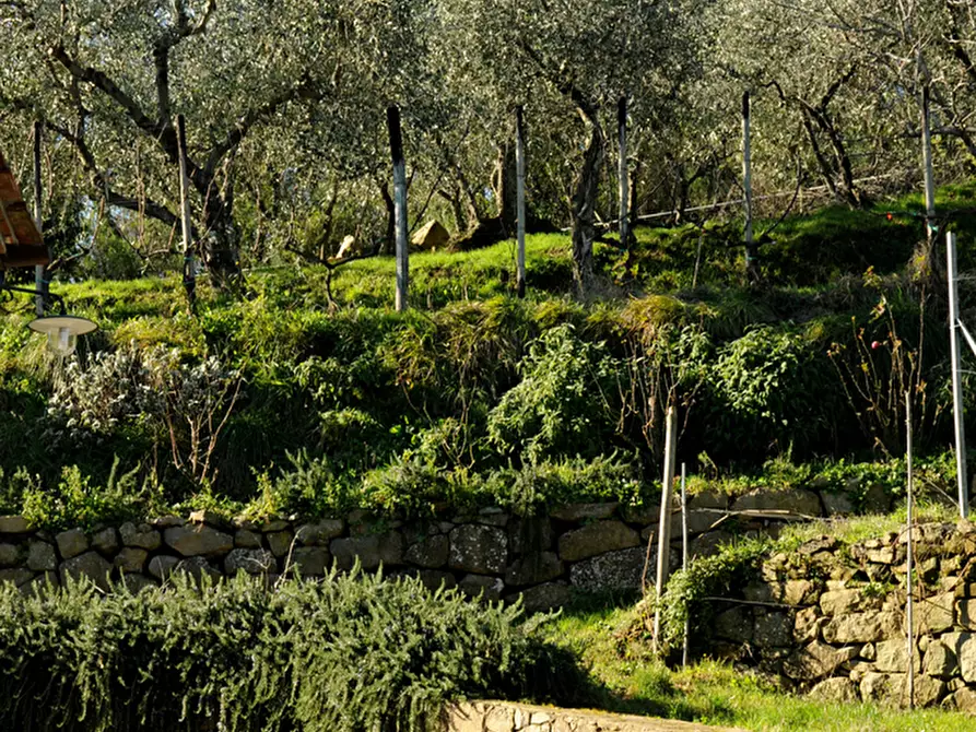 Immagine 36 di Rustico / casale in vendita  in Strada Senza Nome 5 a Pescia