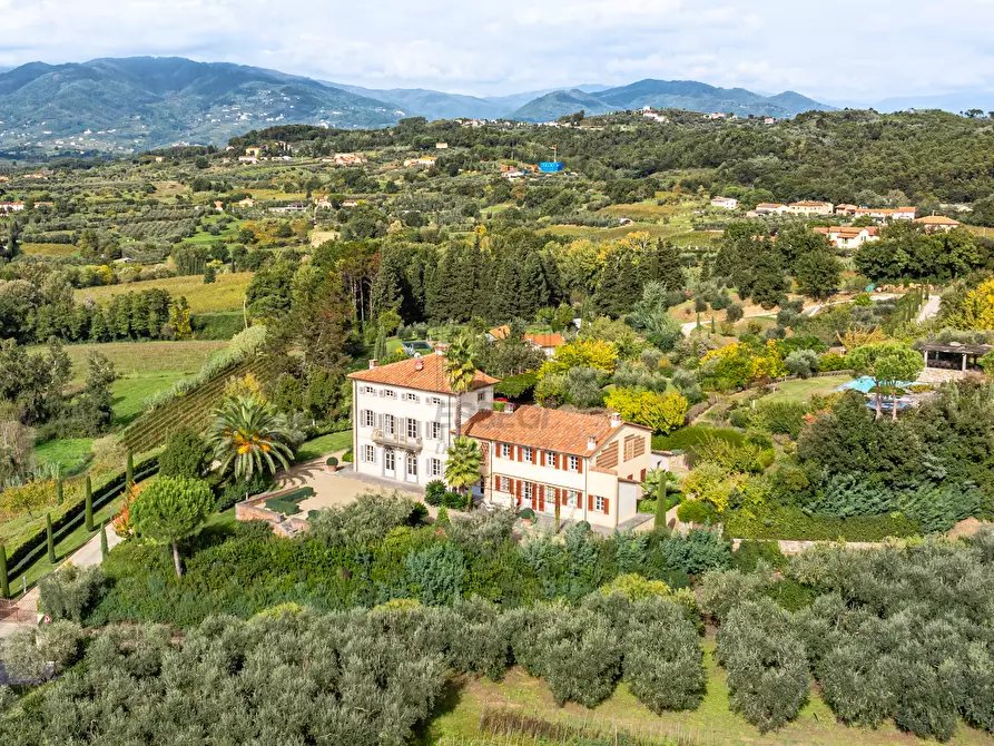 Immagine 42 di Villa in vendita  in via di Montechiari a Montecarlo