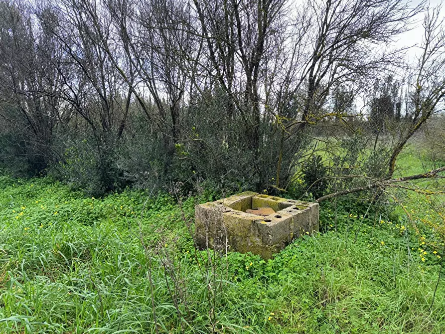 Immagine 1 di Terreno agricolo in vendita  a San Sperate
