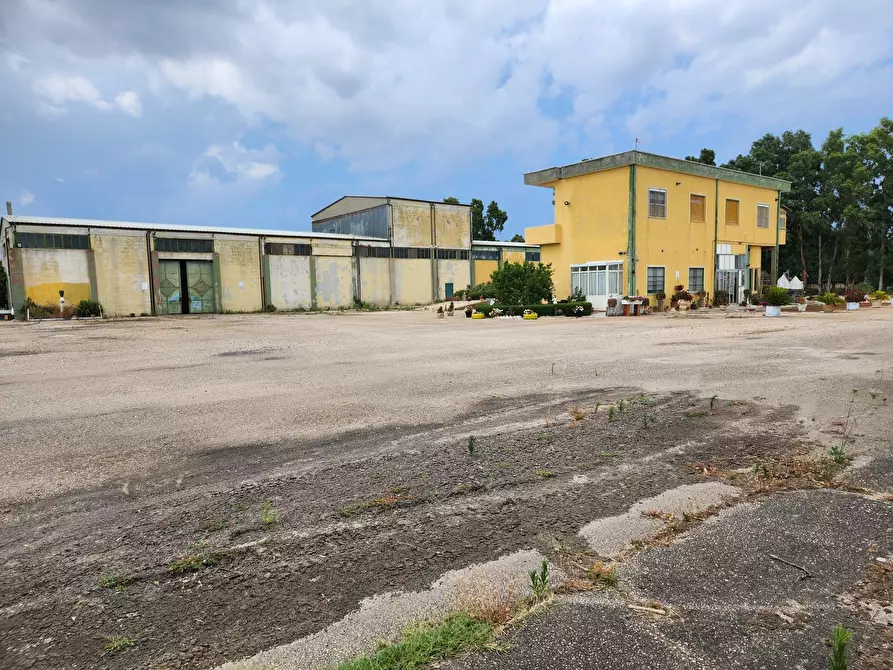 Immagine 1 di Casa indipendente in vendita  a Villasor