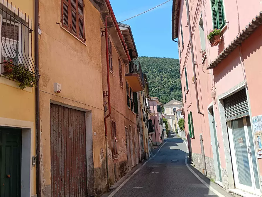 Immagine 33 di Terratetto in vendita  a Ameglia